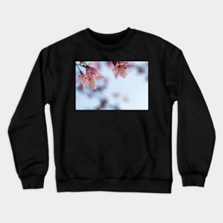 Cherry Blossom Crewneck Sweatshirt